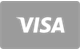 Płatność kartą Visa w Dolfwin Casino